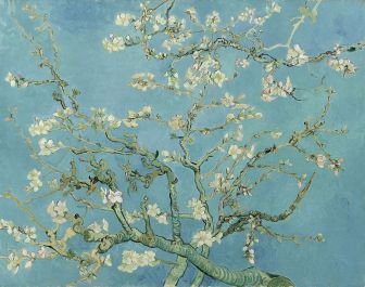 911px-Vincent_van_Gogh_-_Almond_blossom_-_Google_Art_Project
